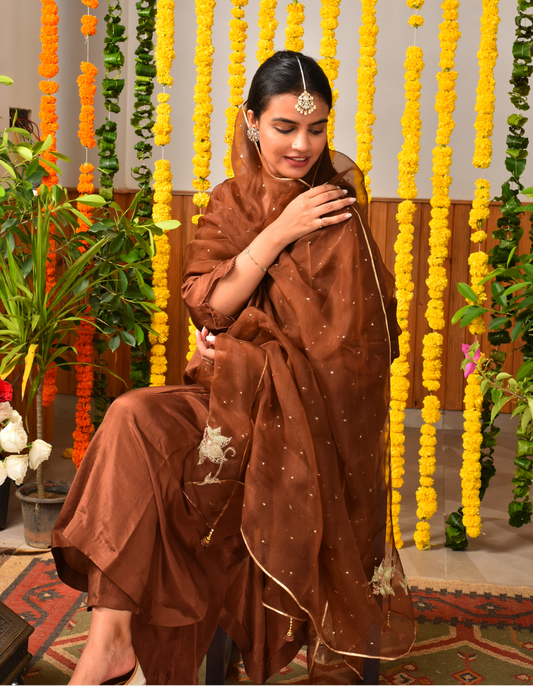 Chocolate Silk Suit Set