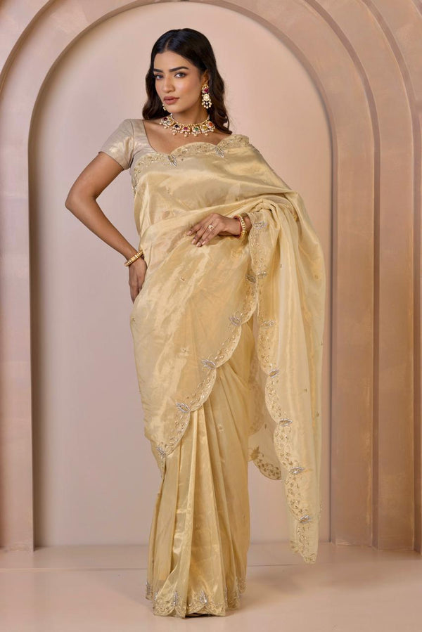 Tissue Saree Embroidered with Love